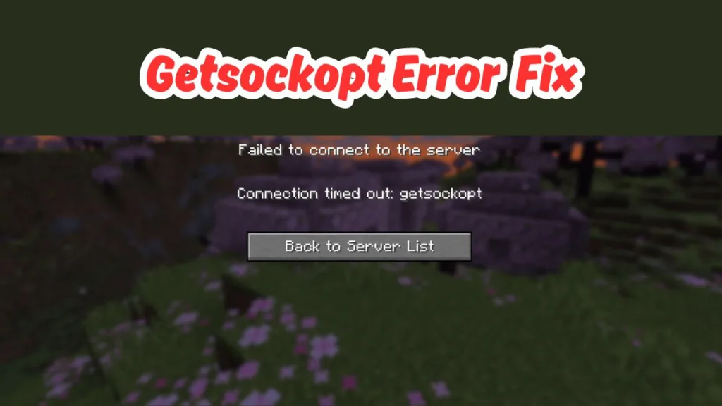 Getsockopt Minecraft Fix
