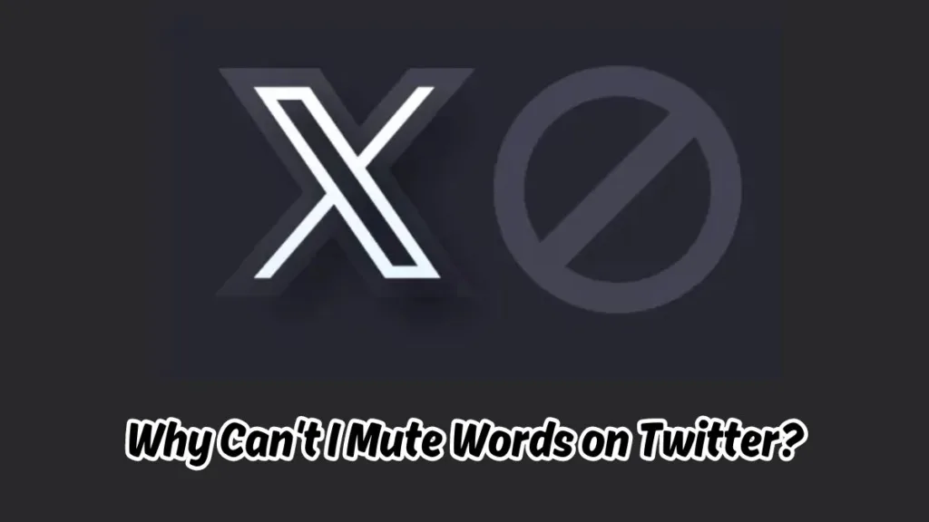 Why Can't I Mute ?Words on Twitter?